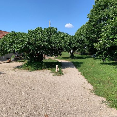 Gite La Longere Bleue Caylus Εξωτερικό φωτογραφία