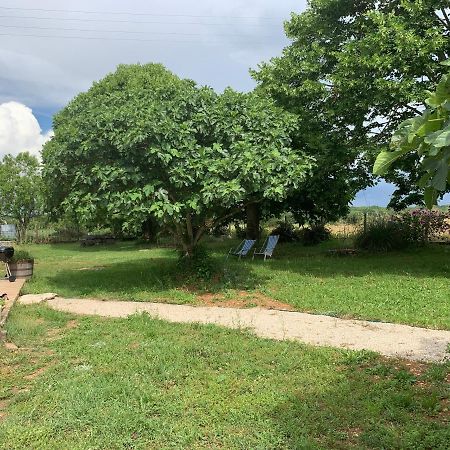Gite La Longere Bleue Caylus Εξωτερικό φωτογραφία